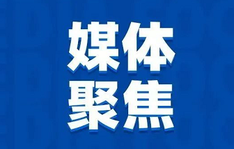 媒體聚焦 | “地瓜經(jīng)濟”為什么能贏？海亮股份是這樣做的