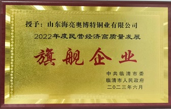 牛！山東海亮榮獲“2022年度民營經(jīng)濟高質(zhì)量發(fā)展旗艦企業(yè)”稱號